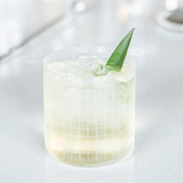 Apple Kiwi Fresh Soda